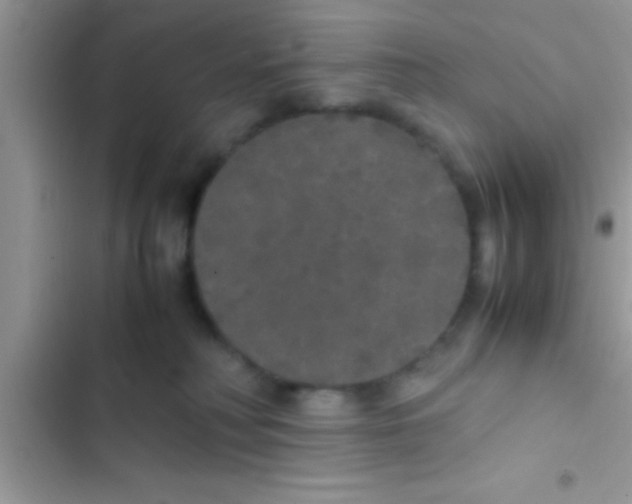 X0000103310230200809191925