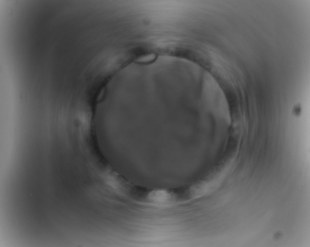 X0000103310231200809191925