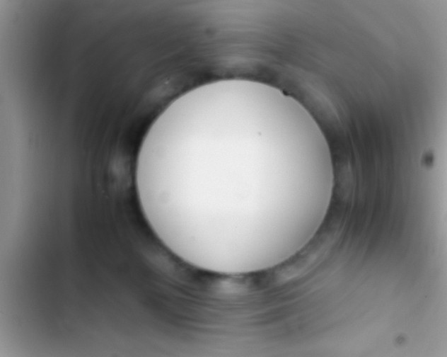 X0000103310232200809191925