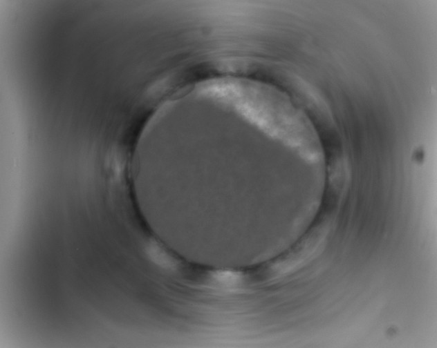 X0000103310233200809191925