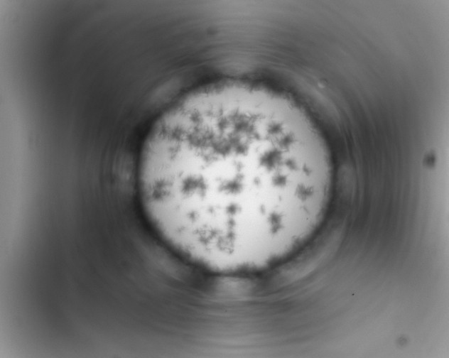 X0000103310234200809191925