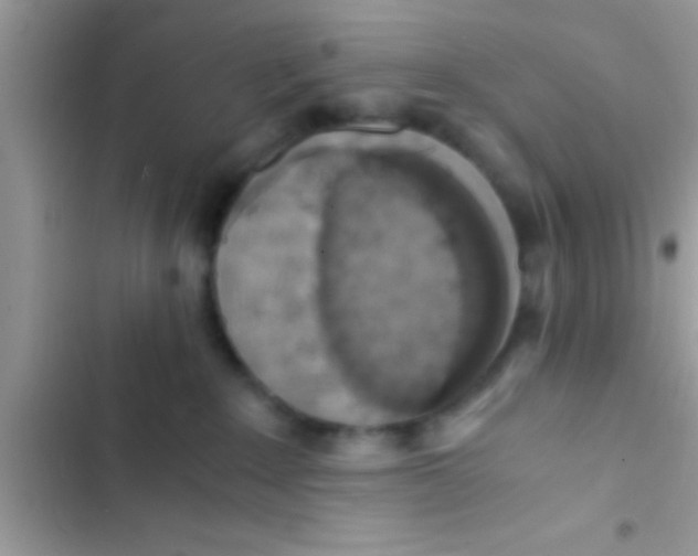 X0000103310235200809191925