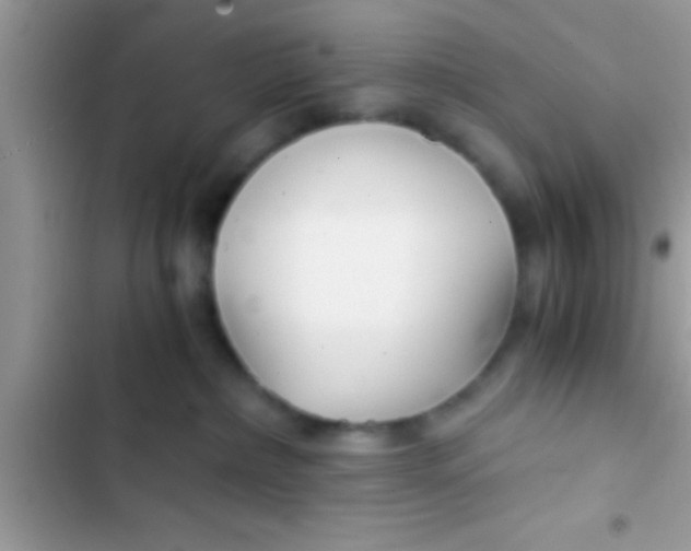 X0000103310236200809191925