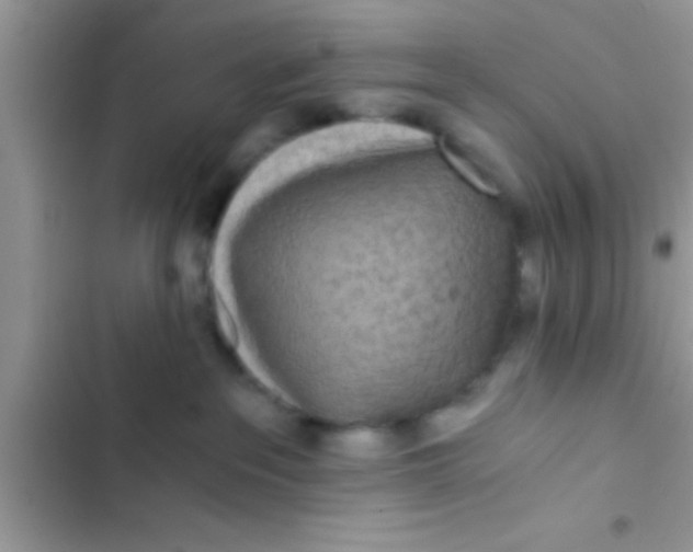 X0000103310237200809191925