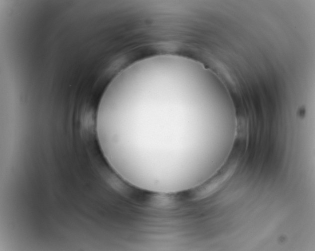 X0000103310238200809191925