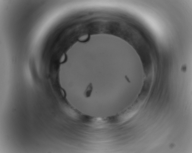 X0000103310239200809191925