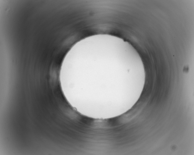 X0000103310240200809191925