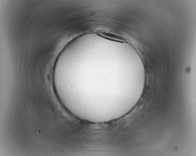 X0000103310241200809191924