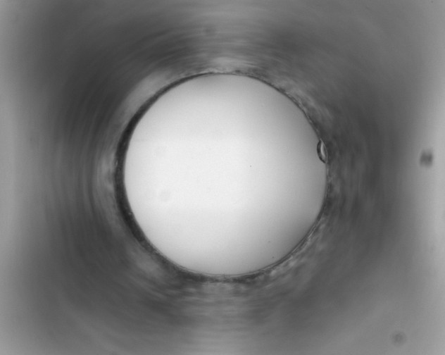 X0000103310242200809191924