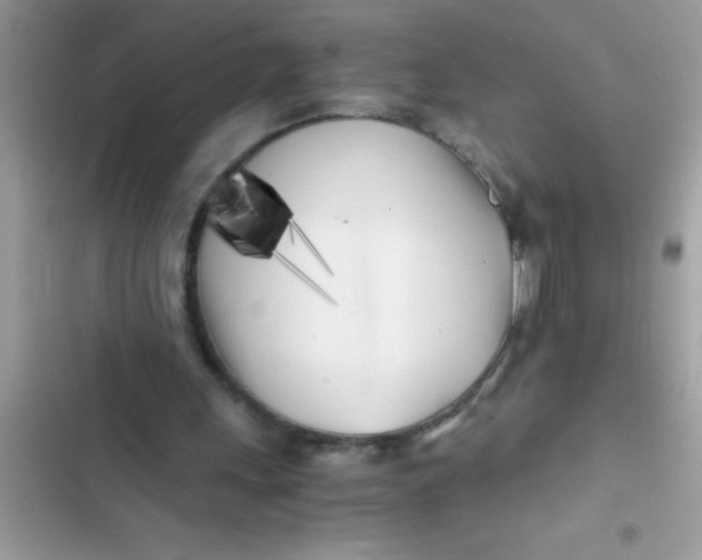 X0000103310243200809191924