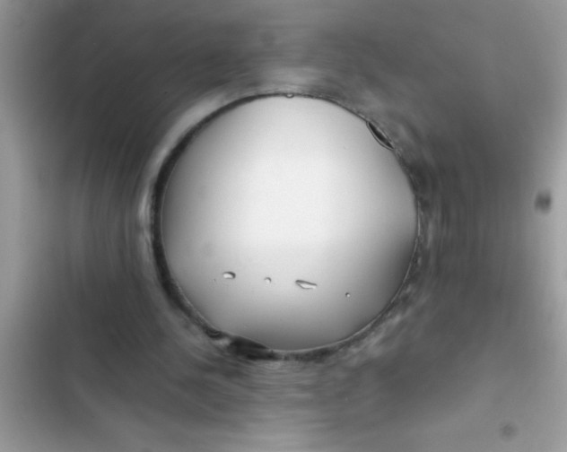 X0000103310244200809191924