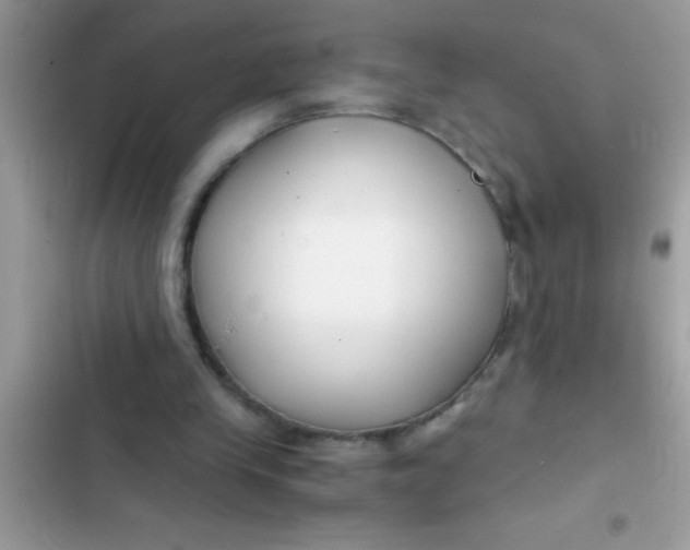 X0000103310245200809191924