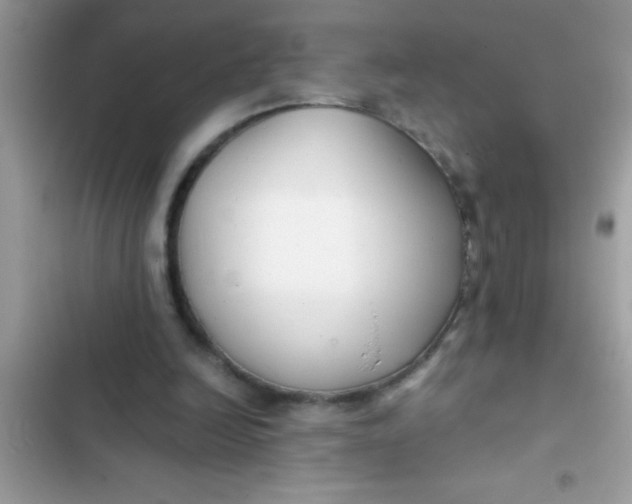 X0000103310246200809191924