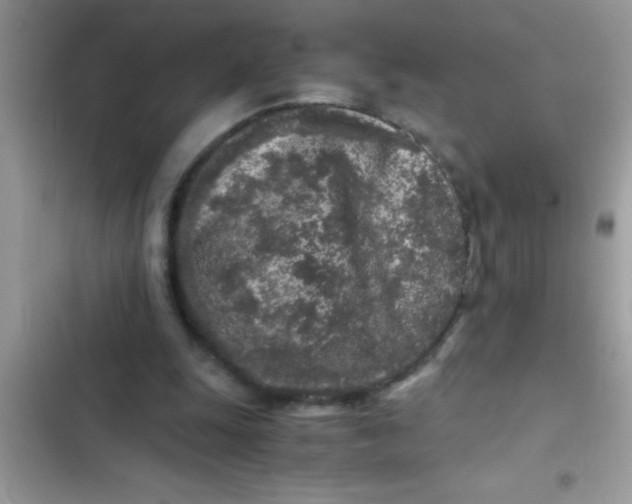 X0000103310247200809191924