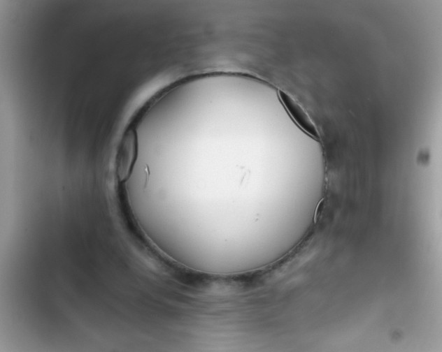 X0000103310248200809191924