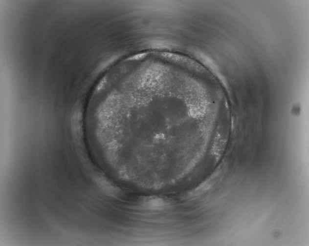 X0000103310249200809191924