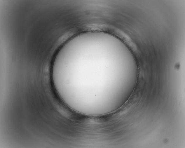 X0000103310250200809191924