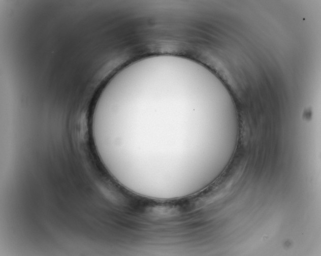 X0000103310251200809191924