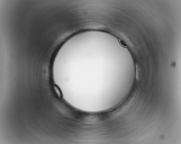 X0000103310252200809191924