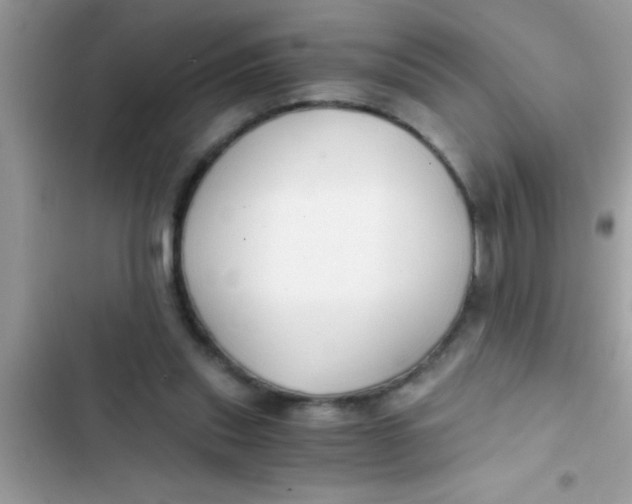 X0000103310253200809191924