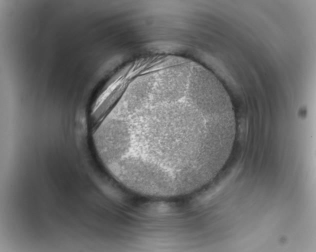 X0000103310254200809191924