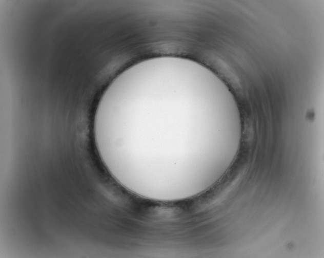 X0000103310255200809191924