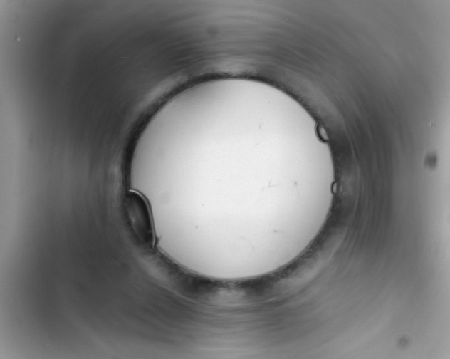 X0000103310256200809191924