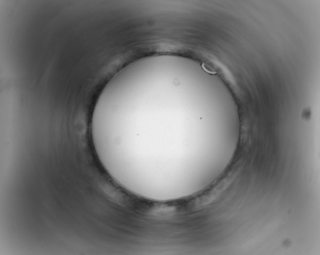 X0000103310257200809191924