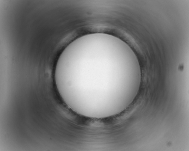 X0000103310258200809191924