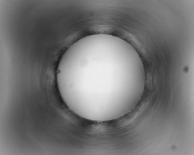 X0000103310259200809191924