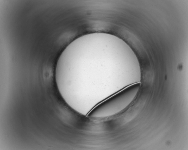 X0000103310260200809191924