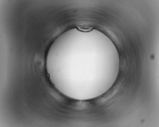 X0000103310261200809191924