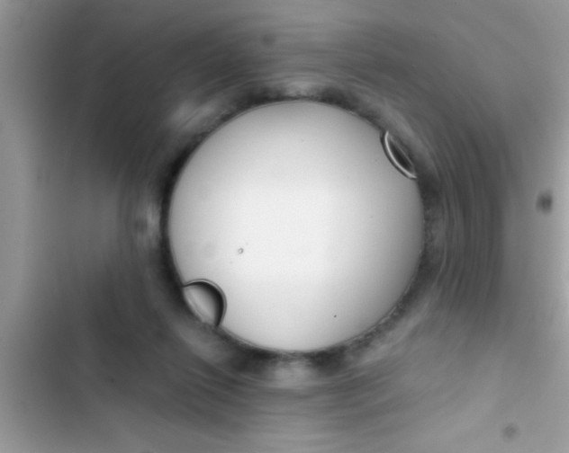 X0000103310262200809191924