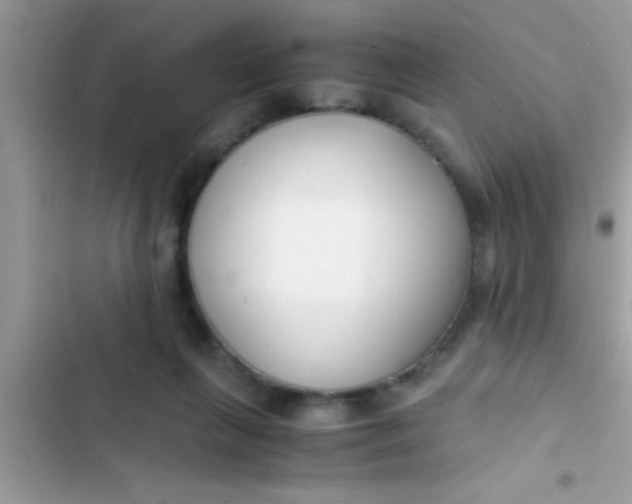 X0000103310263200809191924