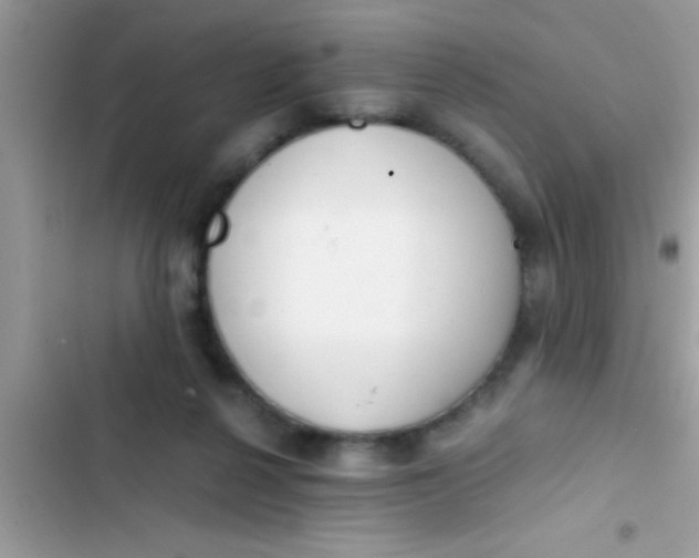 X0000103310264200809191924