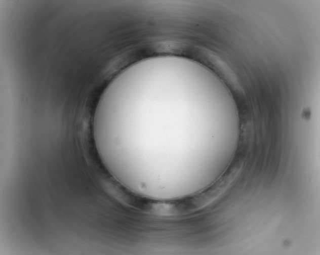 X0000103310265200809191924