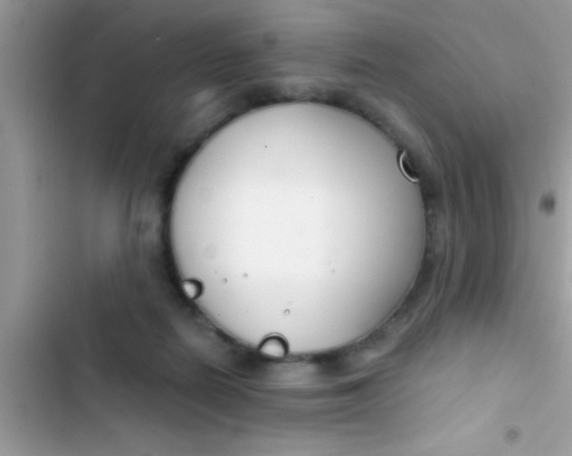 X0000103310266200809191924