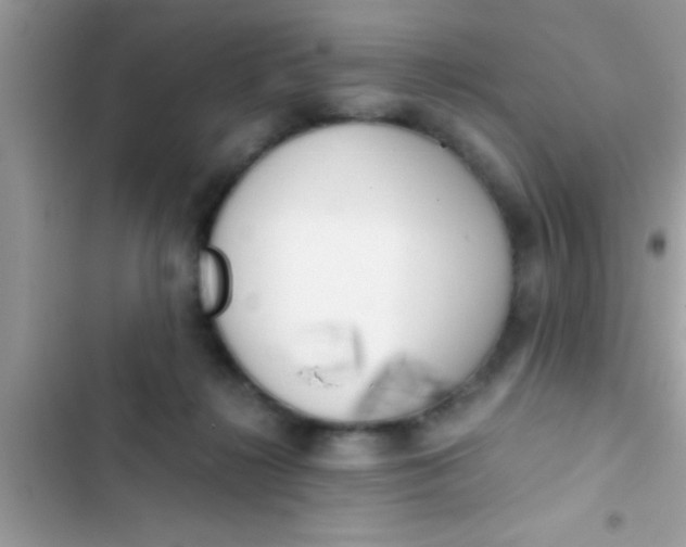 X0000103310268200809191924