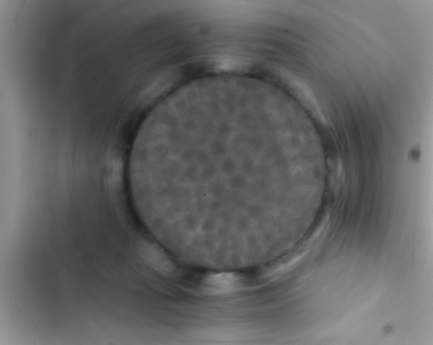 X0000103310269200809191924