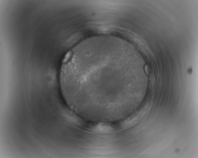 X0000103310270200809191924