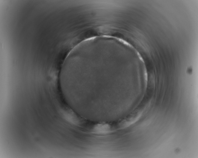 X0000103310271200809191924