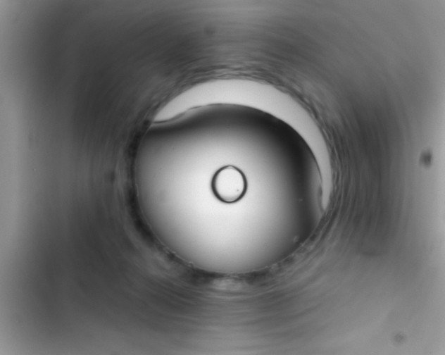 X0000103310272200809191924