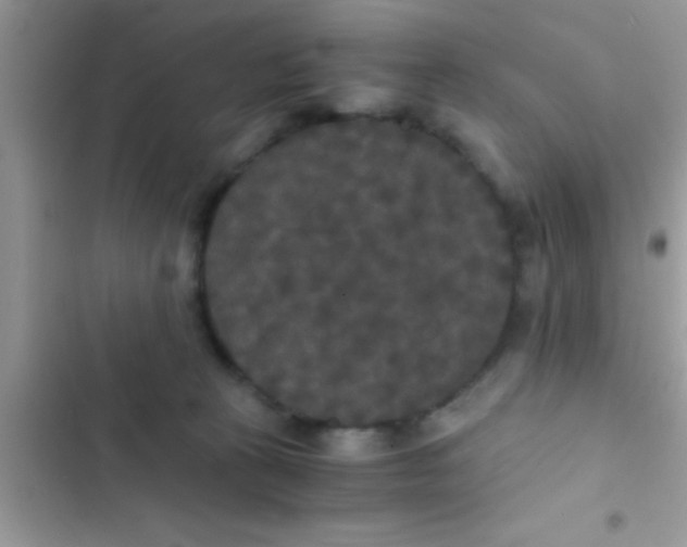 X0000103310273200809191924