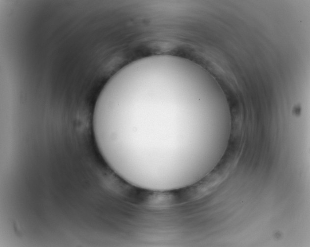 X0000103310274200809191924