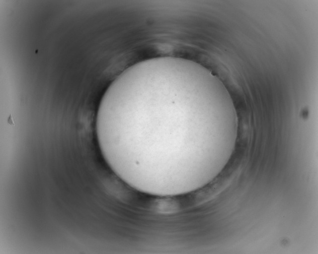 X0000103310275200809191924