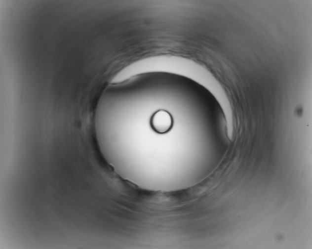 X0000103310276200809191924