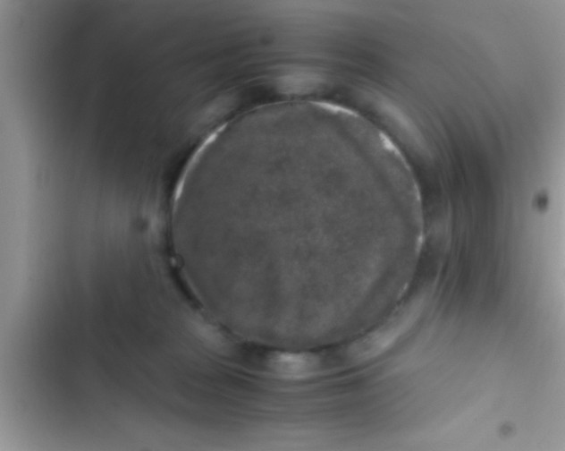 X0000103310277200809191924