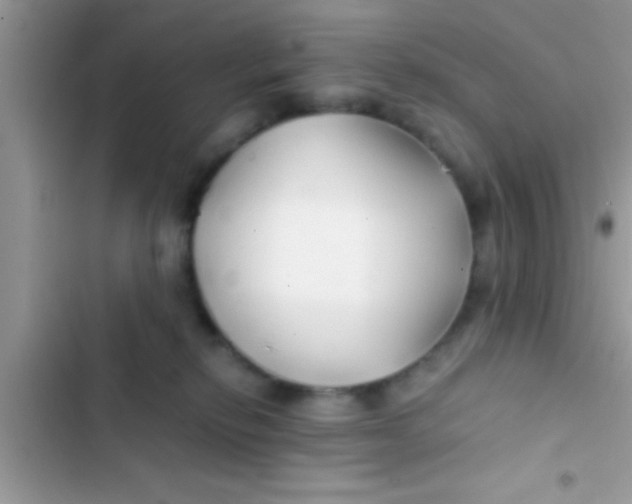 X0000103310278200809191924