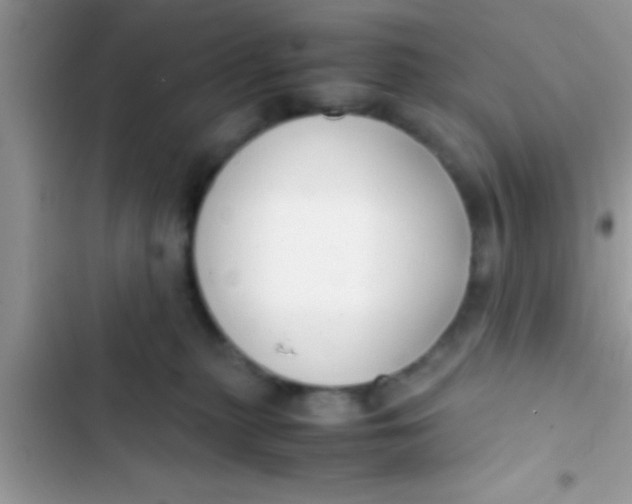 X0000103310279200809191924