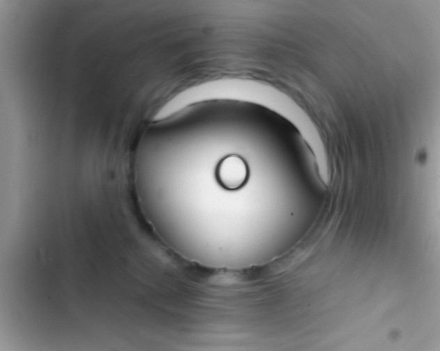 X0000103310280200809191924